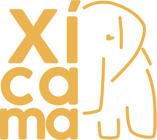 Xicama